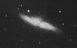 M82